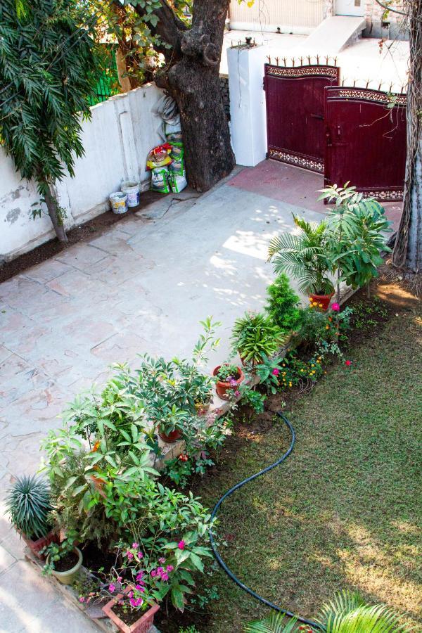 Falcon Guest House Bharatpur Exterior foto