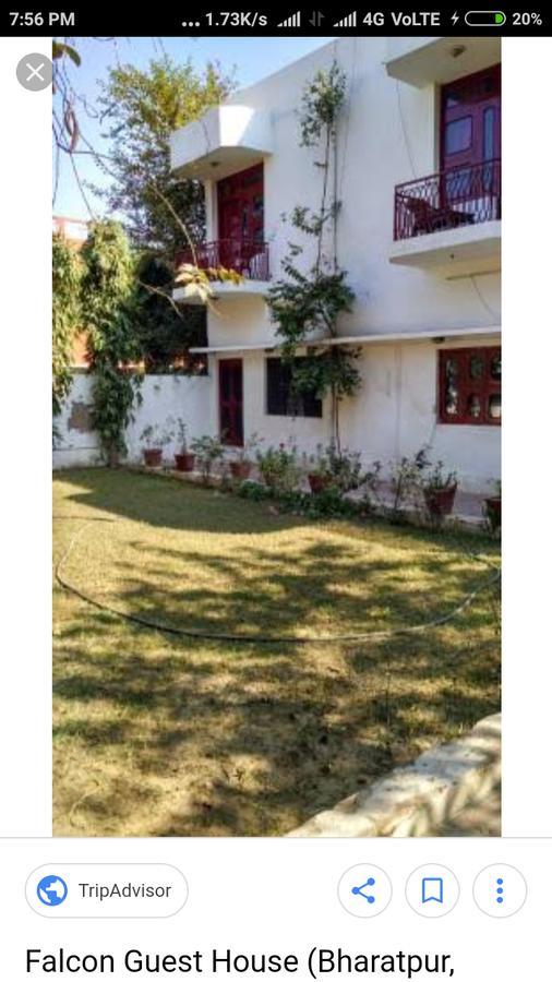 Falcon Guest House Bharatpur Exterior foto